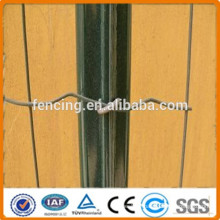 High Quality PVC Coated Euro Fence/Decorative euro fence for sales